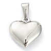 304 Stainless Steel Pendants X-STAS-P278-01R-P-2