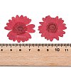 3D Dried Flowers Nail Art Decorations MRMJ-R078-07-2