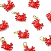 Brass Enamel Pendants KK-C143-54A-G-1
