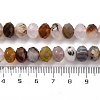 Natural Cherry Blossom Agate Beads Strands G-K380-A42-03-5