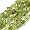 Natural Peridot Beads Strands G-H346-A01-01-2
