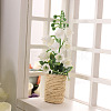 Platic Miniature Ornaments PW-WG36445-01-3