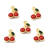 Brass Enamel Charms KK-K337-01G-01-1