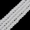 Transparent Glass Beads Strands EGLA-A034-T3mm-MD19-1