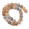 Painted Glass Beads Strands GLAA-B037-12D-12D-2