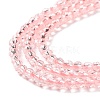 Transparent Glass Beads Strands GLAA-H021-03-07-5