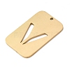 304 Stainless Steel Pendants STAS-D200-01V-G-2