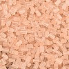 FGB Frosted Transparent Glass Seed Beads SEED-N013-05A-03-3
