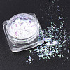 Holographic Chunky Glitter Nail Art Pigment Dust MRMJ-S015-009-M-2