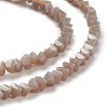 Glass Beads Strands GLAA-L031-01-C10-2