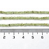 Natural Peridot Beads Strands G-M421-A01-01-5