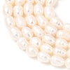 Natural Cultured Freshwater Pearl Beads Strands PEAR-F020-04A-2A-4