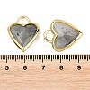 Natural Labradorite Faceted Pendants G-Z154-01G-07-3