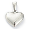 304 Stainless Steel Pendants STAS-P278-01C-P-2