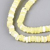 Natural Trochid Shell/Trochus Shell Beads Strands SSHEL-N040-21G-3
