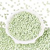 FGB Baking Paint Glass Seed Beads SEED-Q040-09A-10-2