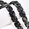 Natural Kambaba Jasper Beads Strands G-T138-171-1