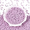 6/0 Baking Paint Glass Round Seed Beads SEED-S036-01C-08-2