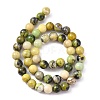 Natural Serpentine Beads Strands G-N166-4-4