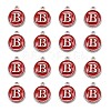 Platinum Plated Alloy Enamel Charms LS-ENAM-S118-03B-P-2