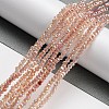 Transparent Baking Paint Glass Beads Strands DGLA-F002-02A-05-2