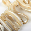 Natural Trochid Shell/Trochus Shell Beads Strands SSHEL-S247-02-2
