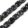 Natural Kambaba Jasper Beads Strands G-T138-171-4