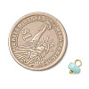 Dyed Natural Freshwater Shell Nuggets Charms PALLOY-JF05032-01-2