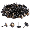 Iron Round Head Furniture Nails AJEW-GA0001-62-1