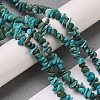 Natural Turquoise Chip Beads Strands X-G-D093-A01-2