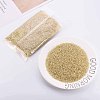 Glass Bugle Beads SEED-S032-08A-22-2