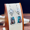 Alloy Enamel Dangle Earrings FS-WG6E131-01-2