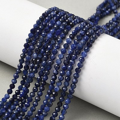 Natural Sodalite Beads Strands X-G-L622-C04-3mm-1