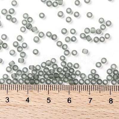 TOHO Round Seed Beads SEED-JPTR08-0009F-1