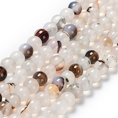 Natural Dendritic Agate Beads Strands G-D845-04-10mm-1