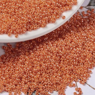 MIYUKI Round Rocailles Beads X-SEED-G009-RR0423-1