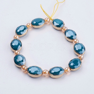 Opaque Glass Beads Strands EGLA-K013-PL-07D-1