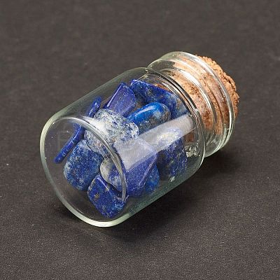 Transparent Glass Wishing Bottle Decoration DJEW-A001-01C-14-1