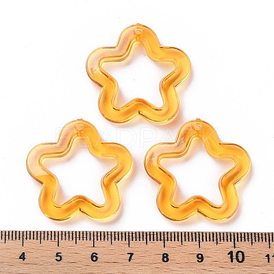 Transparent Acrylic Beads LS-MACR-S373-24-B05-1
