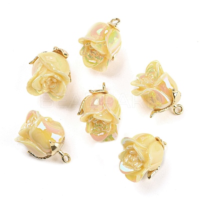 Opaque Resin Pendants RESI-K031-05A-G-1