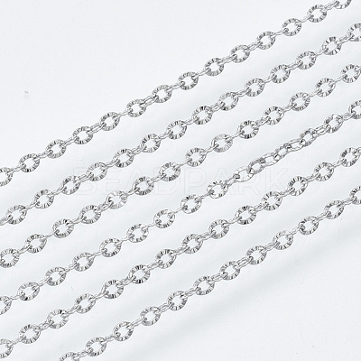 Tarnish Resistant 304 Stainless Steel Chains CHS-S001-12B-P-1