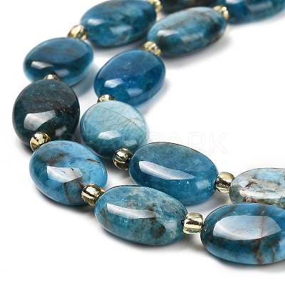 Natural Apatite Beads Strands G-H005-A03-02-1
