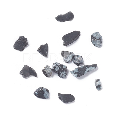 Natural Snowflake Obsidian Chips G-D0004-01-1