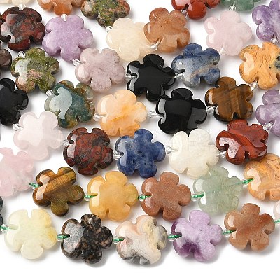 Mixed Natural Gemstone Flower Beads Strands G-L241A-07-1