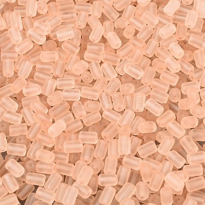 FGB Frosted Transparent Glass Seed Beads SEED-N013-05A-03-1