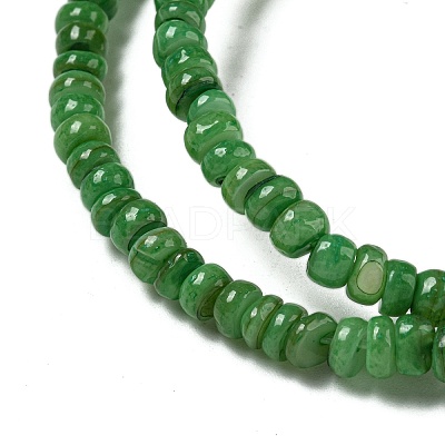 Dyed Natural Freshwater Shell Beads Strands BSHE-G039-07H-1