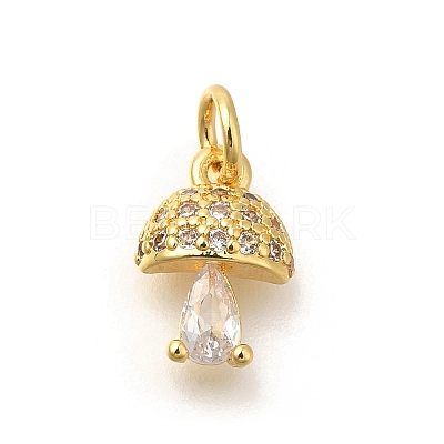 Brass Micro Pave Cubic Zirconia Charms KK-M295-21G-1