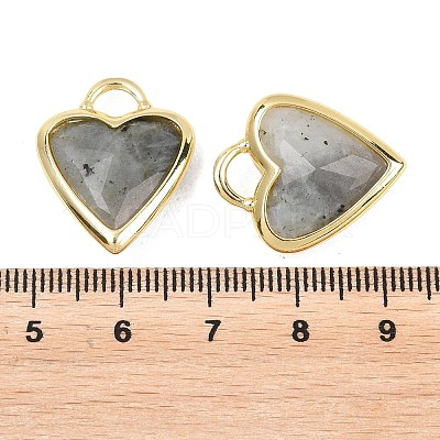 Natural Labradorite Faceted Pendants G-Z154-01G-07-1