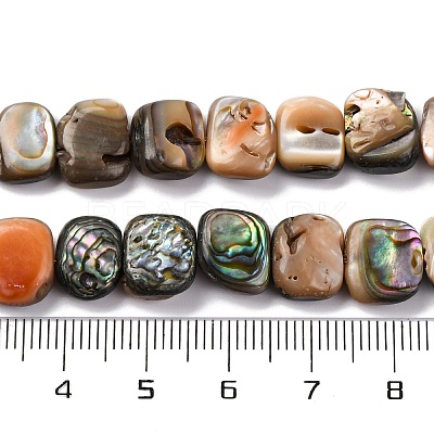 Natural Paua Shell Beads Strands BSHE-B007-02-1
