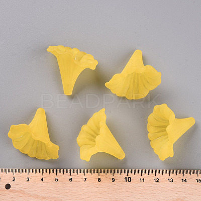 Transparent Acrylic Beads BSF796-C09-1